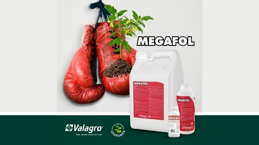 Preparat Megafol