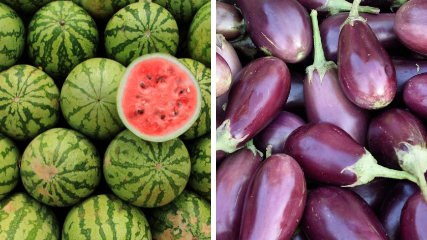 Mitovi o lubenicama i patlidžanu