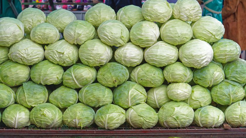 Prices on the markets of “colorful” cabbage have gone up!