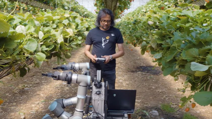 Robot picker STRAWBERRY – an innovative solution for the lack of manpower