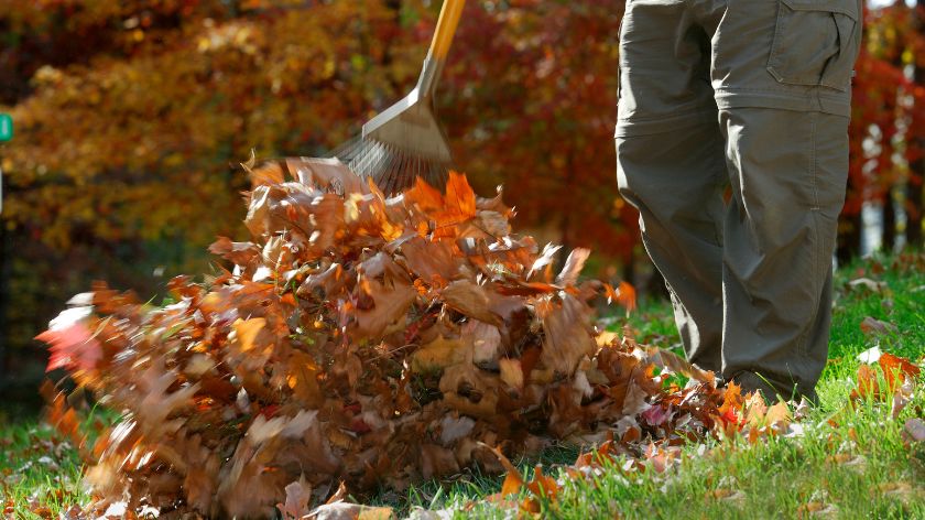 Baštovanstvo u novembru