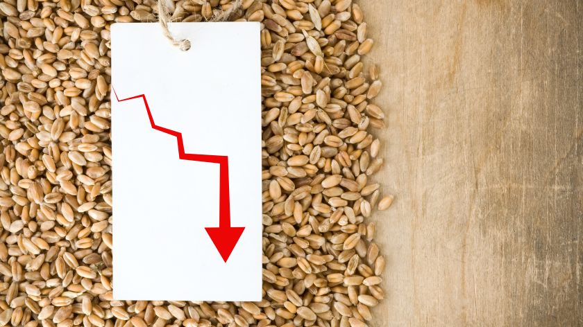 Wheat prices